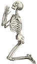 sofronije-mini kolekcija-praying_skeleton.png