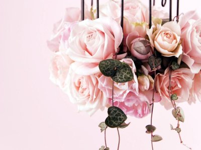 Pink_Roses_Hanging.jpg