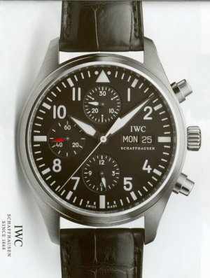 IWC pilot's watch.jpg
