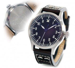 624991655Steinhart.jpg