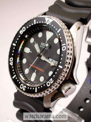 SKX007_1.jpg