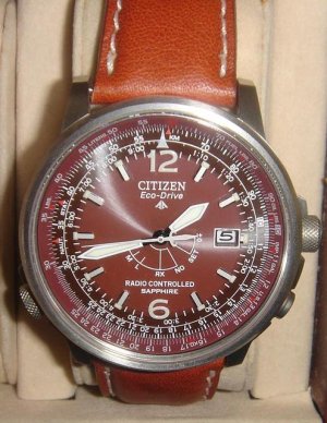 Citizen Citizen H.jpg