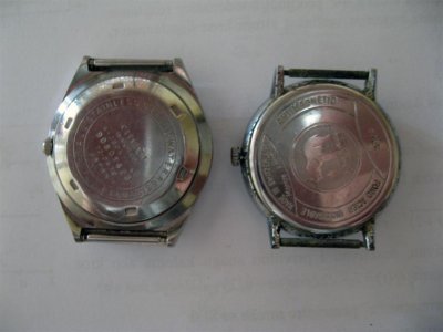 IMG_0284 1 (Large).jpg