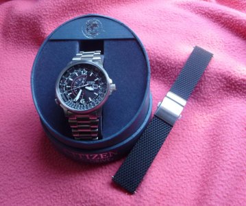 Citizen_Nighthawk_02.jpg Citizen_Nighthawk_02.jpg