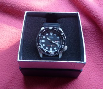 Seiko_SKX007_3.jpg