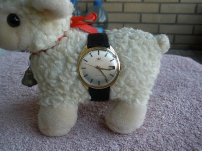 Marvin 1.jpg Marvin 1.jpg