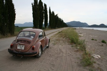 Picture 294 [640x480].jpg