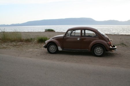 Picture 298 [640x480].jpg