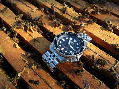 20160318_145041 ....jpg