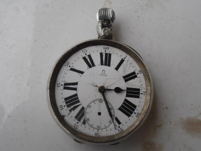 P1010010.jpg P1010010.jpg