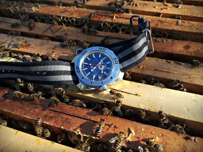 20160415_165553 ...,,.jpg