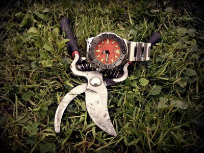 20160423_172334 ....jpg