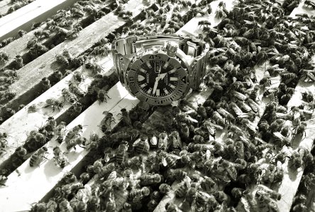 20160523_164711 ....jpg