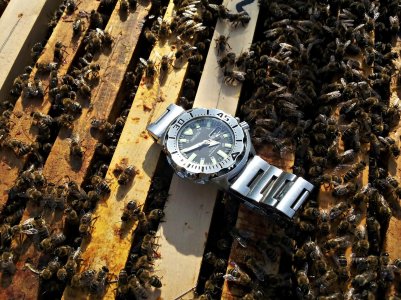 20160523_164913 ....jpg