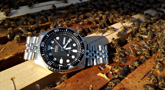 IMG_20160528_171648 ....jpg