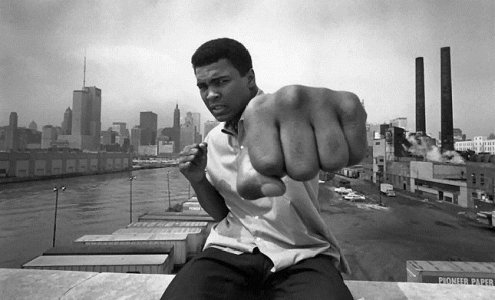 Muhamed-Ali.jpg