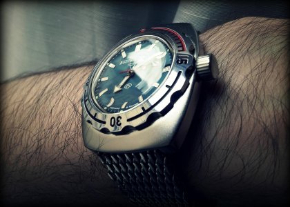 Amphibia 090059-1800pxljun.jpg