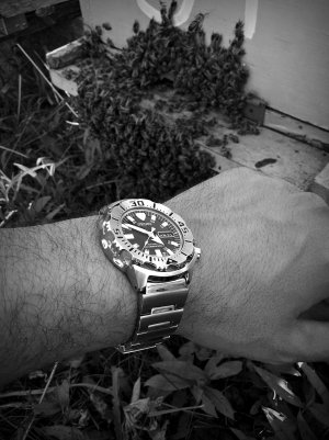 20160523_165031 ...,.jpg