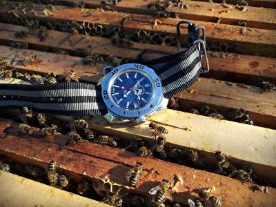 20160415_165553 ....jpg