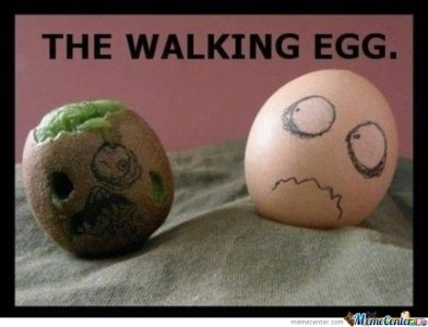 the-walking-egg_o_309067.jpg