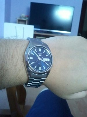 WhatsApp-Image-20160809 (3).jpeg