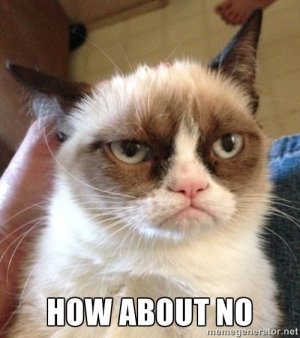 Grumpy_Cat_No_03.jpg