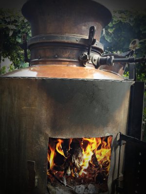 20160907_113156 ...,.jpg