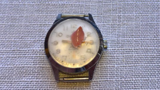 WP_20160929_09_28_04_Pro (2).jpg