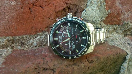 DSC_0130.JPG DSC_0130.JPG