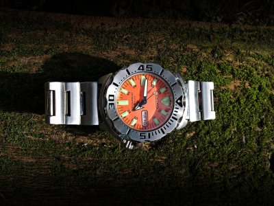 20161018_143900 ....jpg