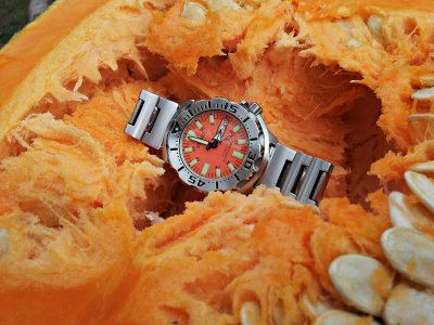 20161020_145730  ....jpg