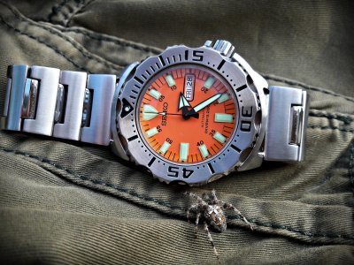 20161028_142228_Richtone(HDR) ....jpg