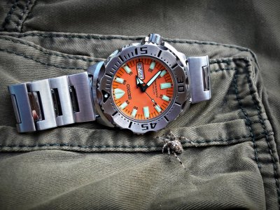 20161028_142207_Richtone(HDR) ....jpg