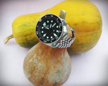 20161111_135923 ....jpg