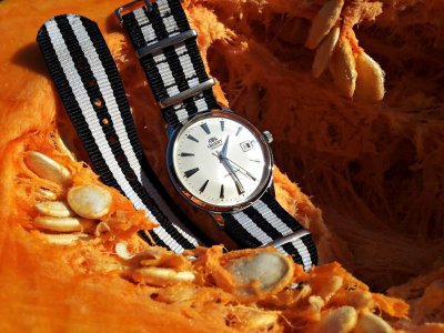 20161120_132928 ....jpg