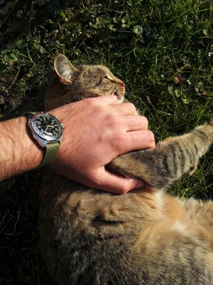 20161130_134215 ....jpg