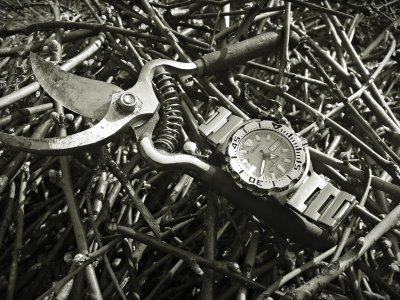 20170314_155741 ....jpg