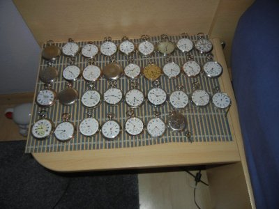 DSCN5582.JPG DSCN5582.JPG