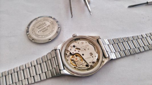 DSC_2307-01.jpg DSC_2307-01.jpg