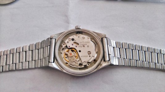 DSC_2305-01.jpg DSC_2305-01.jpg