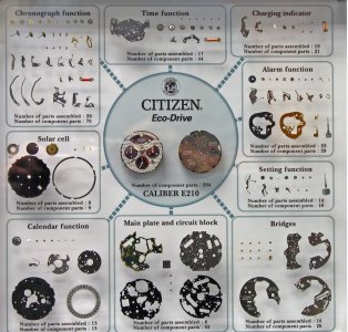 Citizen.jpg Citizen.jpg