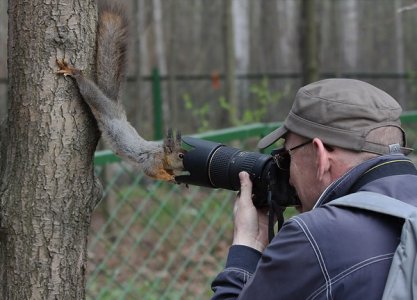 squirrel-photographer.jpg