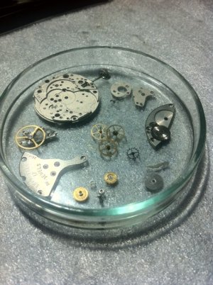 fotografija 1 (2).JPG