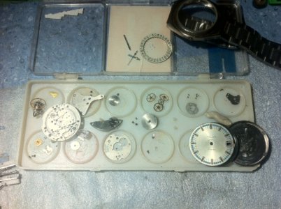 fotografija 2 (2).JPG