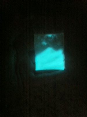 fotografija 2 (4).JPG