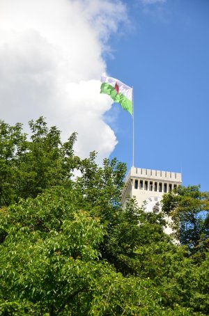 DSC_5652_1.jpg DSC_5652_1.jpg