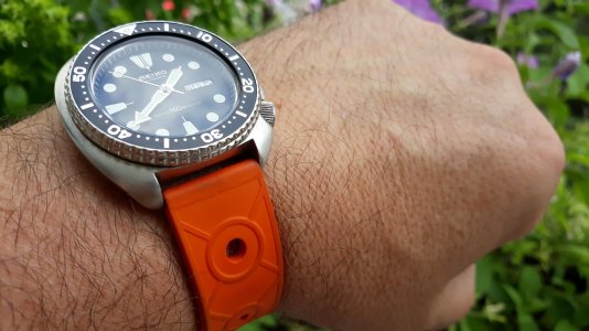 20180905_134409.jpg 20180905_134409.jpg