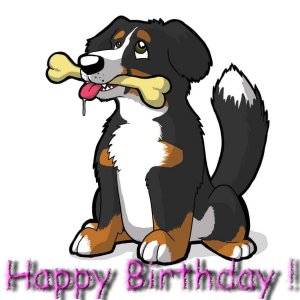 berni srecan rodjendan.jpg