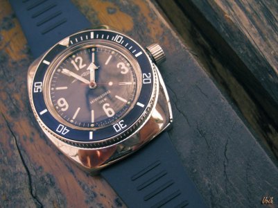 DSC06909 obrada 10 Volk.jpg