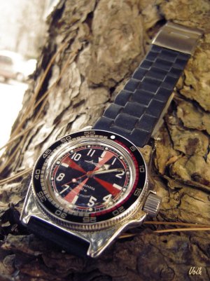 DSC06929 obrada 02 Volk.jpg